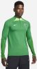 Nike Nigeria Strike Dri FIT knit voetbaltrainingstop voor heren Groen online kopen
