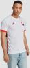 Adidas belgië uitshirt 22/23 wit/blauw heren online kopen