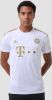 Adidas FC Bayern M&#xFC, nchen 22/23 Uitshirt White/Dark Football Gold Heren online kopen