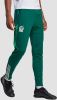 Adidas Mexico Trainingsbroek Tiro 23 2022/23 Groen online kopen