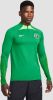 Nike Nigeria Strike Dri FIT knit voetbaltrainingstop voor heren Groen online kopen
