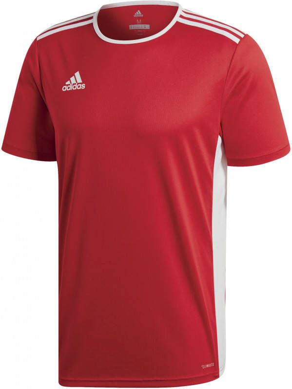 Adidas Performance sport T shirt Entrada rood online kopen