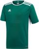 Adidas Voetbalshirt Entrada 18 Groen/Wit Kinderen online kopen