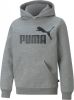 PUMA Hoodie Essentials Big Logo Grijs/Zwart Kinderen online kopen