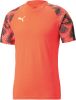 PUMA Trainingsshirt IndividualFINAL WK Rood/Zwart online kopen