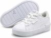 Puma Jada Summer Roar sneakers zwart/roze/zilver online kopen