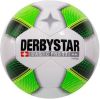 Derbystar Futsal Basic Pro TT Wit Groen online kopen