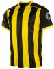 Stanno Brighton Voetbalshirt online kopen