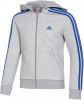 Adidas Hoodie Essentials 3 Stripes Grijs/Blauw Kinderen online kopen