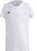 Adidas T shirt Korte Mouw TEAM19 SS Jersey Women online kopen