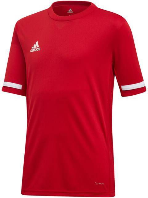 Adidas T shirt Korte Mouw TEAM19 SS Jersey online kopen