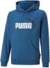 Puma Essential + 3 Col Big Logo Sweater Met Capuchon Kinderen online kopen
