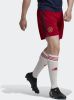 Adidas Ajax Amsterdam 22/23 Uitshort Team Victory Red Heren online kopen