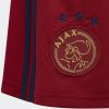 Adidas Ajax Amsterdam 22/23 Uitshort Team Victory Red Kind online kopen