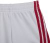 Adidas Ajax Amsterdam 22/23 Baby Thuistenue Bold Red Kind online kopen