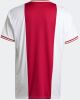 Adidas Ajax Amsterdam 22/23 Home Basisschool Jerseys/Replicas online kopen