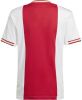 Adidas Ajax Amsterdam 22/23 Home Basisschool Jerseys/Replicas online kopen