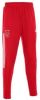 Adidas Ajax Amsterdam Tiro Training Broek Team Collegiate Red online kopen