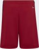 Adidas Ajax Amsterdam 22/23 Uitshort Team Victory Red Kind online kopen