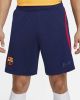Nike FC Barcelona Strike voetbalshorts met Dri FIT voor heren Blauw online kopen