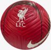 Nike Liverpool Voetbal Strike Rood/Grijs/Wit online kopen