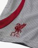 Nike Liverpool Trainingsshorts Dri FIT Strike Grijs/Rood Kinderen online kopen