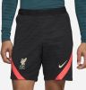 Nike Liverpool Trainingsshorts Dri FIT Strike Zwart/Rood/Beige Kinderen online kopen