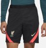 Nike Liverpool Trainingsshorts Dri FIT Strike Zwart/Rood/Beige Kinderen online kopen