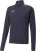 Puma teamliga 1/4 zip voetbaltop blauw/geel heren online kopen