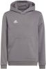 Adidas Kids adidas Entrada 22 Sweat Hoodie Kids Grijs Wit online kopen