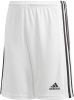 Adidas Performance Squad 21 sportshort wit/zwart online kopen