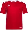 Adidas Cf1050 Entrada 18 Jsyy T Shirt , Rood, Heren online kopen