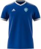 Adidas Performance Senior sport T shirt Tabela blauw/wit online kopen