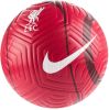 Nike Liverpool Voetbal Strike Rood/Grijs/Wit online kopen