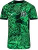 Nike Nigeria 2022/23 Stadium Thuis Dri FIT voetbalshirt voor heren Groen online kopen