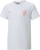 PUMA T shirt Graphic Neymar Jr. Dream Chaser Wit Kinderen LIMITED EDITION online kopen