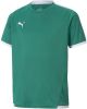 PUMA Voetbalshirt teamLIGA Groen/Wit Kinderen online kopen