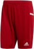 Korte Broek adidas TEAM19 Knit Short online kopen