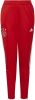 Adidas Ajax Amsterdam Tiro Training Broek Team Collegiate Red online kopen