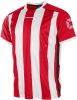 Stanno Brighton Voetbalshirt online kopen