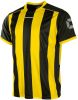 Stanno Brighton Voetbalshirt online kopen