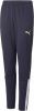 PUMA teamLIGA Trainingsbroek Kids Donkerblauw Groen online kopen