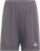 Adidas Kids adidas Entrada 22 Voetbalbroekje Kids Grijs Wit online kopen