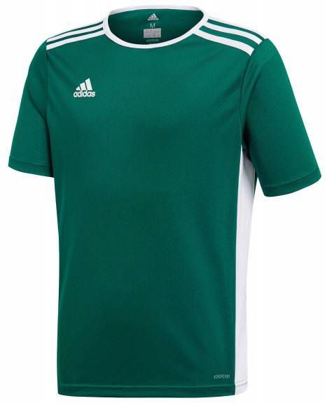 Adidas Voetbalshirt Entrada 18 Groen/Wit Kinderen online kopen