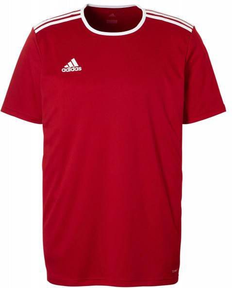 Adidas Performance sport T shirt Entrada rood online kopen