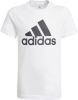 Adidas performance T shirt met korte mouwen Too move logo 5 16 jaar online kopen