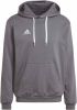 Adidas Entrada 22 Sweat Hoodie Grijs Wit online kopen