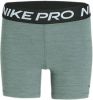 Nike Pro 365 Damesshorts(13 cm) Smoke Grey/Heather/Black/Black Dames online kopen