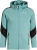 PUMA Evostripe Full Zip Hoodie Blauw Zwart online kopen