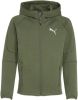 Puma Evostripe full zip hoodie 589194 44 online kopen